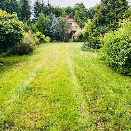 Nad Jeziorem Dadaj Biskupiec (Olsztyn)